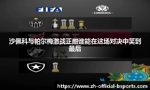 沙佩科与帕尔梅激战正酣谁能在这场对决中笑到最后