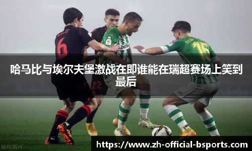 哈马比与埃尔夫堡激战在即谁能在瑞超赛场上笑到最后