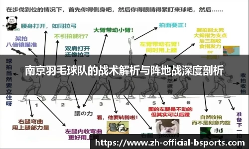 南京羽毛球队的战术解析与阵地战深度剖析